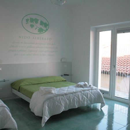 Praja Vecchia Bed & Breakfast Praia a Mare Luaran gambar